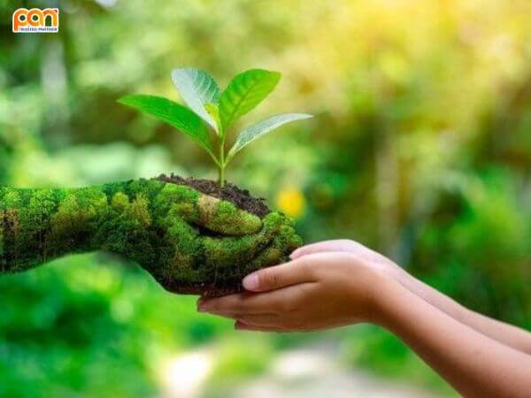 Lợi ích của việc tái chế rác thải nhựa mà có thể bạn chưa biết