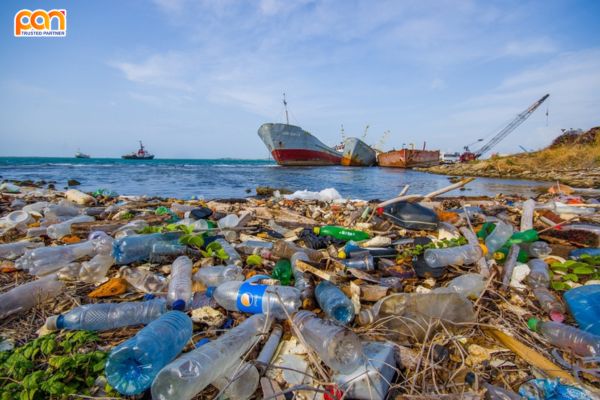 Cách xử lý rác thải đơn giản, hiệu quả đã được áp dụng thành công