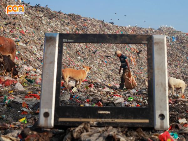 Thực Trạng Số Lượng Rác Thải Mỗi Năm Trên Thế Giới: Những Con Số Đáng Báo Động