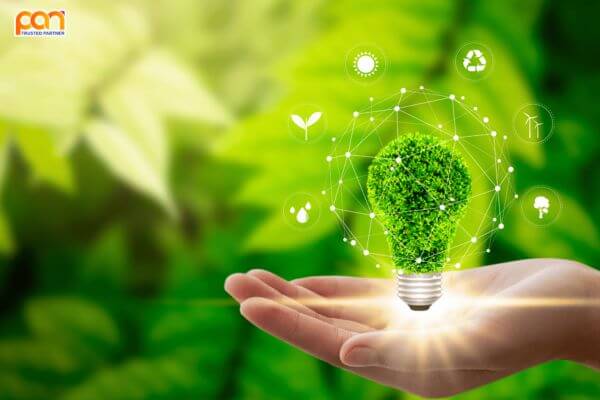 Sống xanh là gì? Lợi ích của lối sống xanh