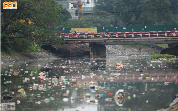 Rác thải nhựa và các vật liệu không phân hủy