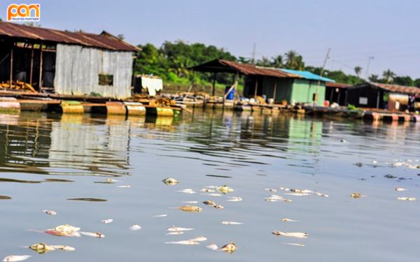 Thực trạng ô nhiễm sông Đồng Nai