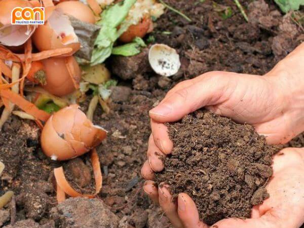 Phân hủy sinh học (Composting)