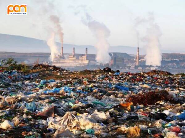 Đốt cháy (Incineration)